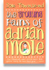 Growing Pains of Adrian Mole